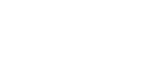 cortex